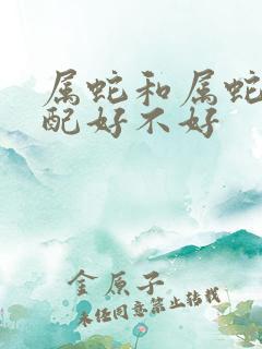 属蛇和属蛇的婚配好不好