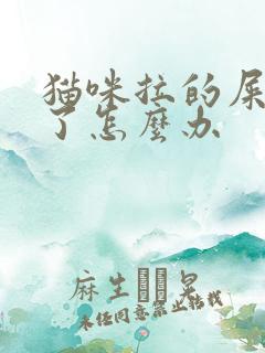 猫咪拉的屎太臭了怎么办