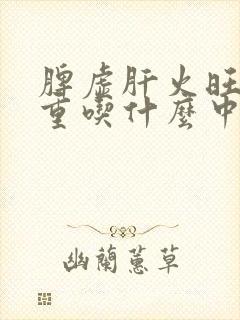 脾虚肝火旺湿气重吃什么中药