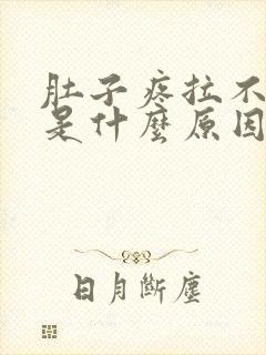 肚子疼拉不出来是什么原因