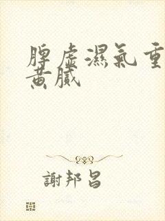 脾虚湿气重舌苔黄腻