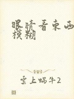 眼睛看东西痛和模糊