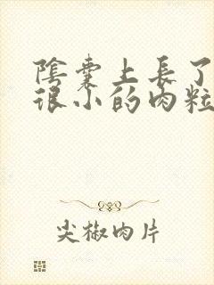 阴囊上长了一个很小的肉粒