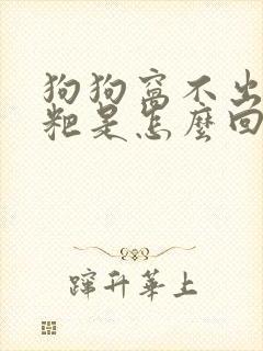 狗狗窝不出来粑粑是怎么回事