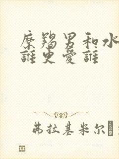 摩羯男和水瓶女谁更爱谁