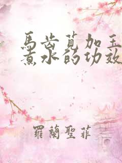 马齿苋加玉米须煮水的功效与作用