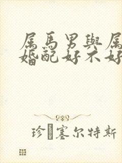 属马男与属羊女婚配好不好