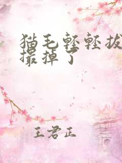 猫毛轻轻拔就一撮掉了