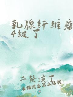 乳腺纤维瘤到了4级了