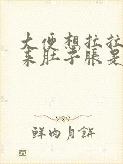 大便想拉拉不出来肚子胀是怎么回事