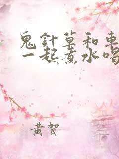 鬼针草和车前草一起煮水喝的功效