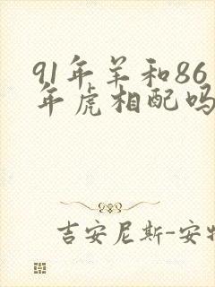 91年羊和86年虎相配吗