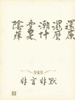 阴囊潮湿还有点痒是什么原因