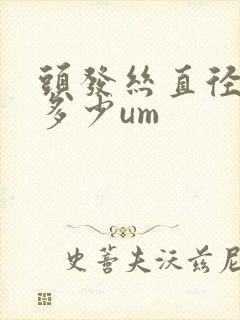 头发丝直径大约多少um