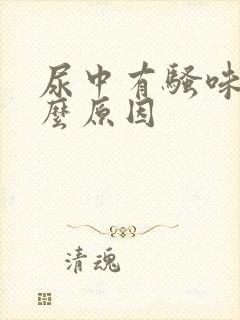 尿中有骚味是什么原因