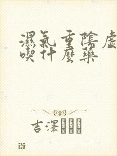 湿气重阴虚内热吃什么药