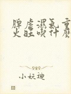 脾虚湿气重阴虚火旺吃什么中成药