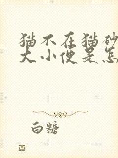 猫不在猫砂盆里大小便是怎么回事