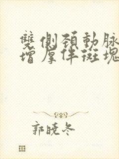 双侧颈动脉内膜增厚伴斑块(单发)