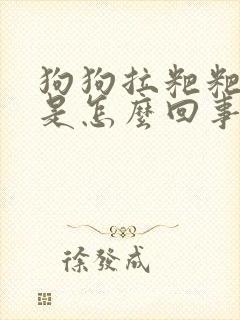 狗狗拉粑粑带血是怎么回事