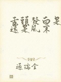 舌头发白是风热还是风寒