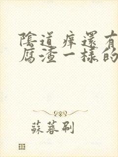 阴道痒还有像豆腐渣一样的东西