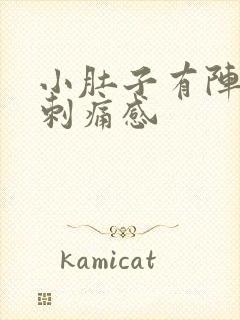 小肚子有阵阵的刺痛感