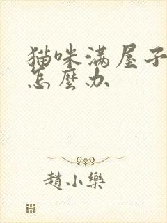 猫咪满屋子乱尿怎么办