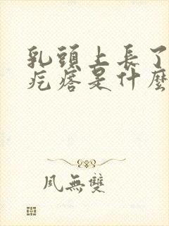 乳头上长了个小疙瘩是什么原因引起的