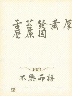 舌苔发黄厚腻什么原因