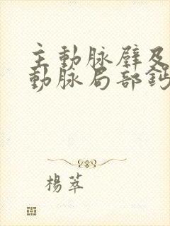 主动脉壁及冠状动脉局部钙化