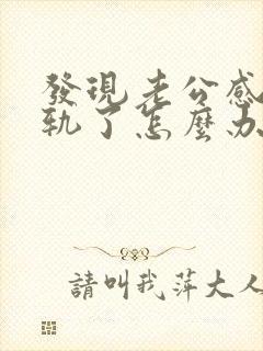 发现老公感情出轨了怎么办