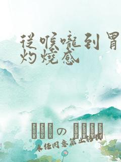 从喉咙到胃部有灼烧感