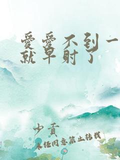 爱爱不到一分钟就早射了