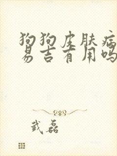 狗狗皮肤病吃丁易吉有用吗