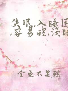 失眠,入睡困难,容易醒,浅睡