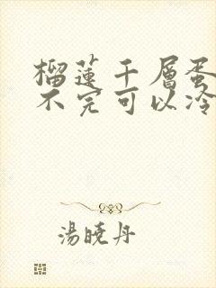 榴莲千层蛋糕吃不完可以冷冻吗