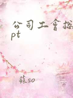 公司工会总结ppt