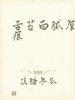 舌苔白腻厚有齿痕