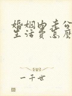 婚姻内老公不给生活费怎么办