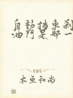 自动挡车刹车和油门是哪一个