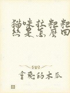 猫咪拉粑粑带血丝是怎么回事