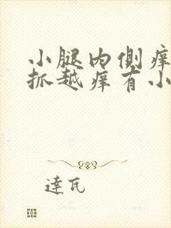 小腿内侧痒痒越抓越痒有小红疙瘩