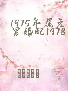 1975年属兔男婚配1978年属马女