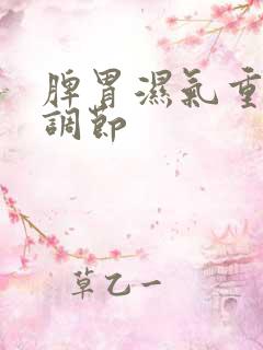 脾胃湿气重怎么调节