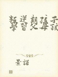 叛逆期孩子不想学习父母该怎么做