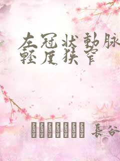 左冠状动脉管腔轻度狭窄