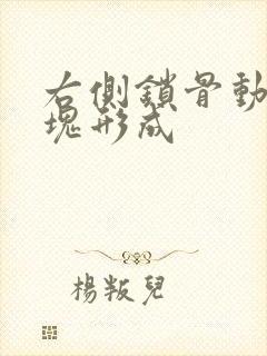 右侧锁骨动脉斑块形成