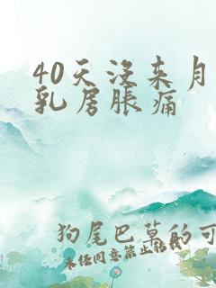 40天没来月经乳房胀痛