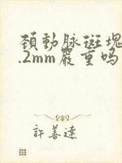 颈动脉斑块厚2.2mm严重吗